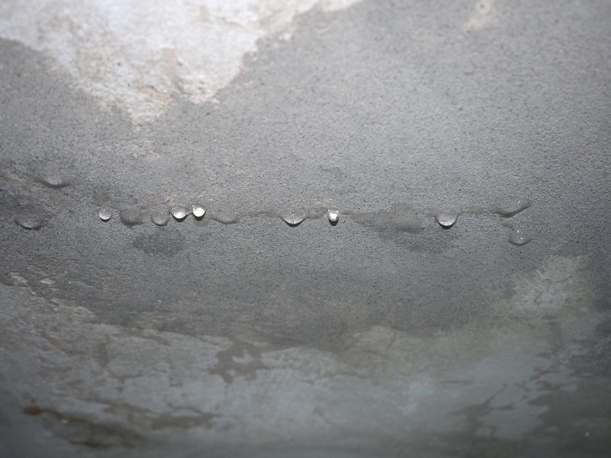 dégât des eaux