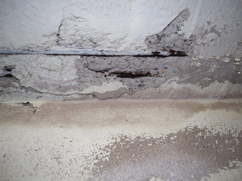 humidité moisissure