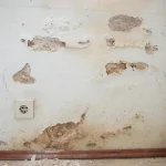 Revestimiento deteriorado en una pared húmeda