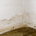 Marcas de humedad al pie de dos paredes