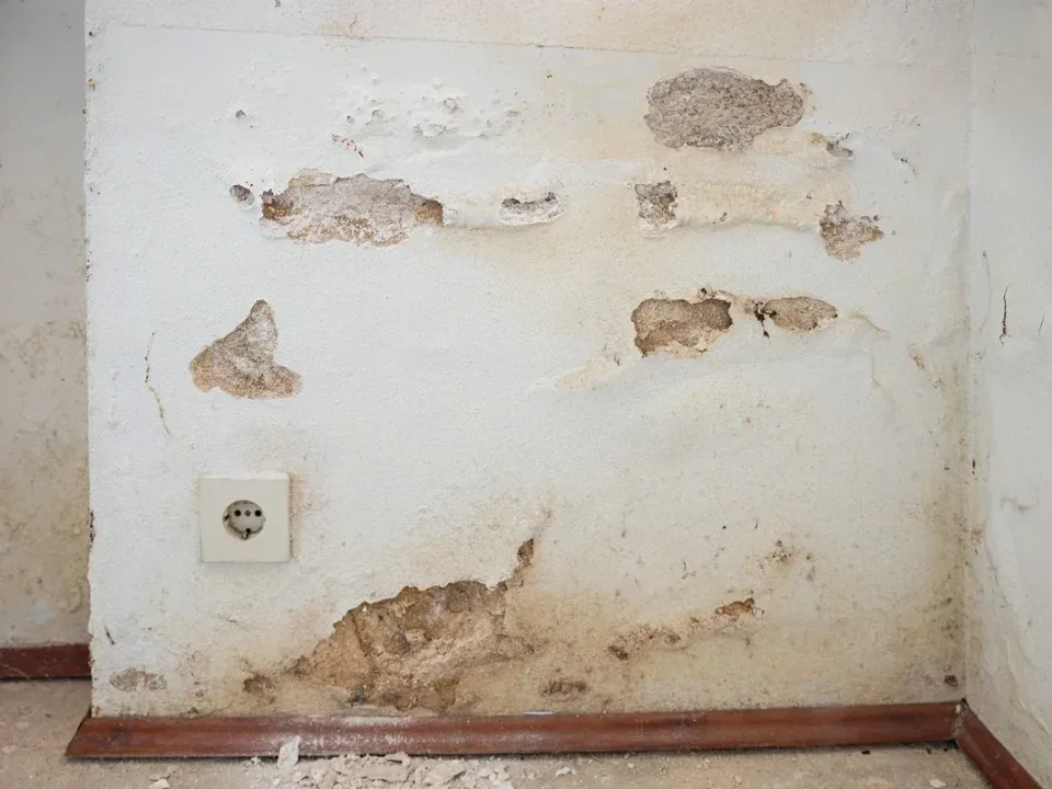 Revestimiento deteriorado en la parte baja de una pared