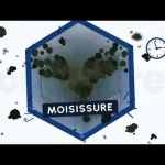 Vidéo : Moisissure au plafond : pourquoi elle revient toujours dans les coins ?